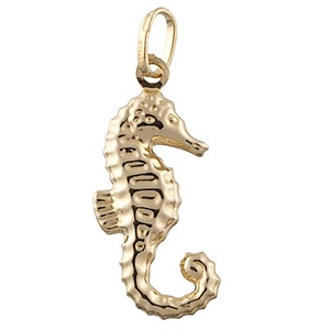 Sea Horse Charm